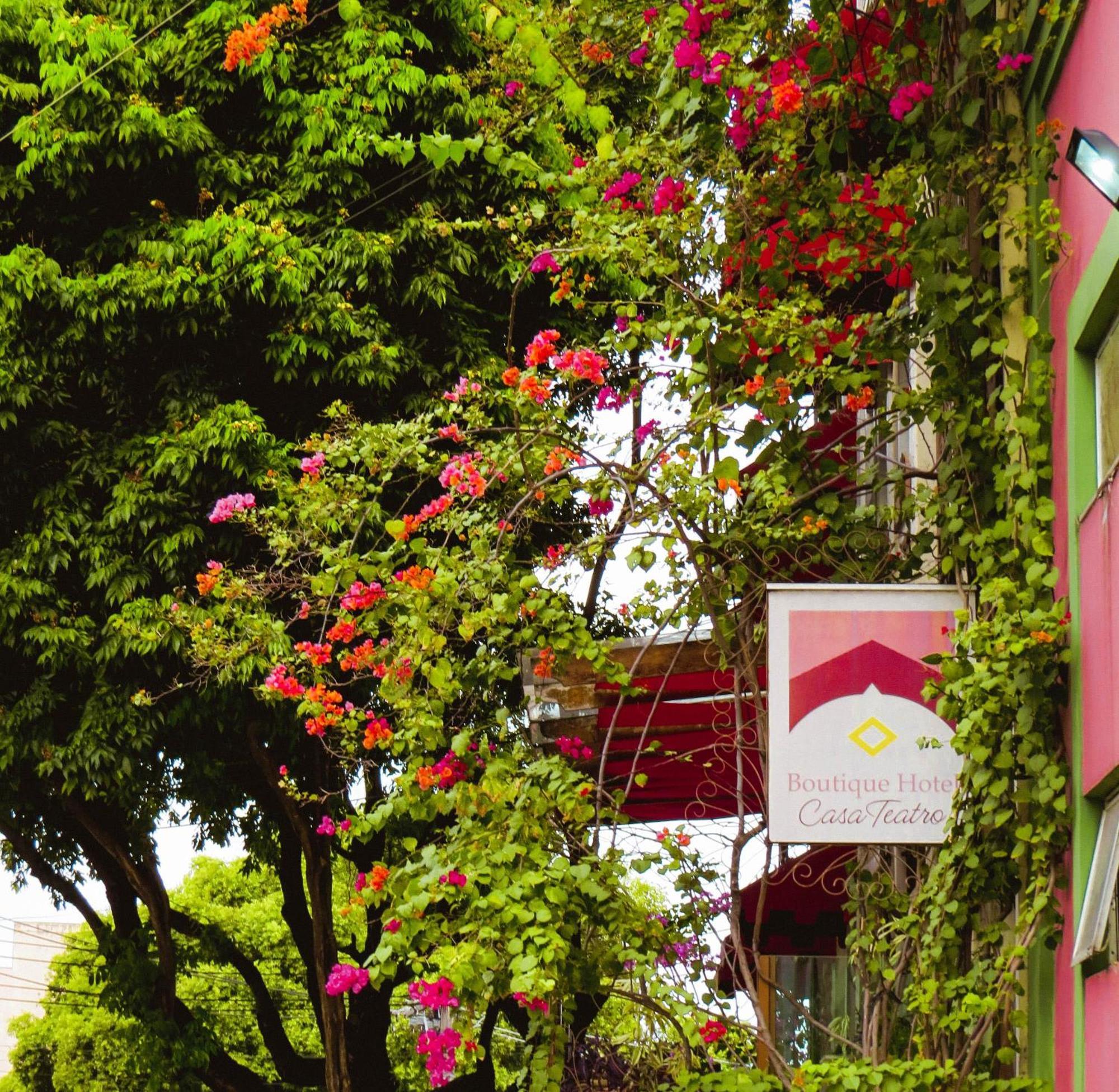 Boutique Hotel Casa Teatro Manaos Extérieur photo
